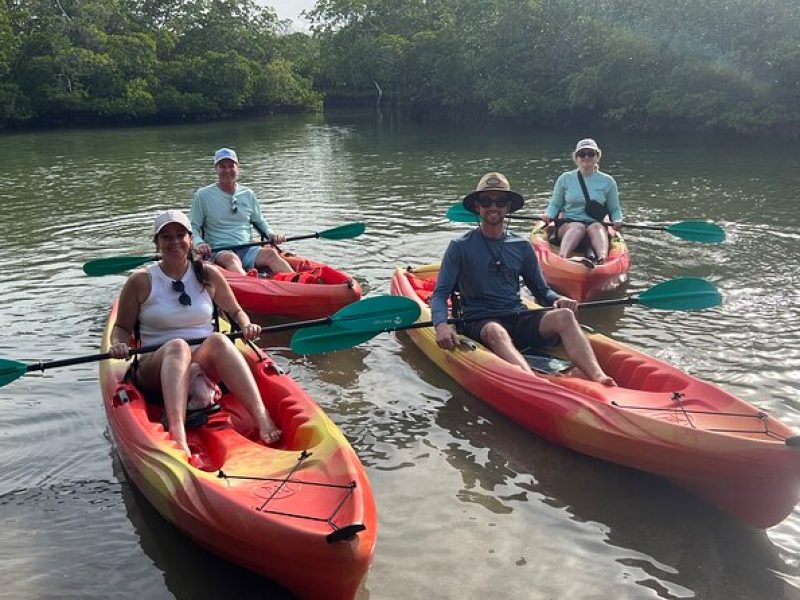 Naples Kayak Rentals, Self Guided Eco Experience