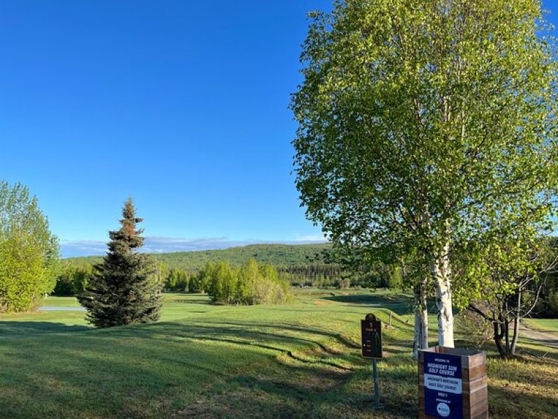 3-Hour Small Group 9-Hole Self-Guided Fairbanks Golf Experience