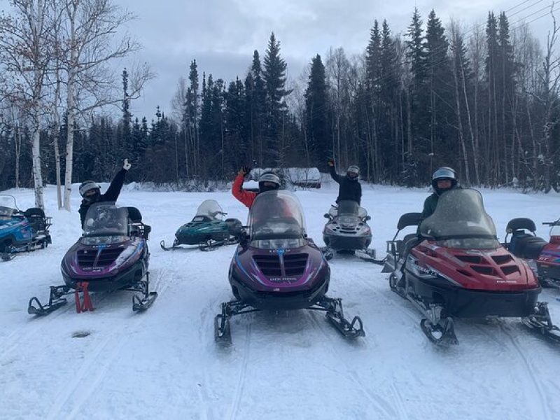 1 Hour Snowmobile Tour in Fairbanks Alaska