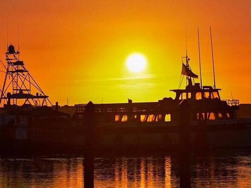 Myrtle Beach Sunset Dolphin Cruise Experience in Murrells Inlet