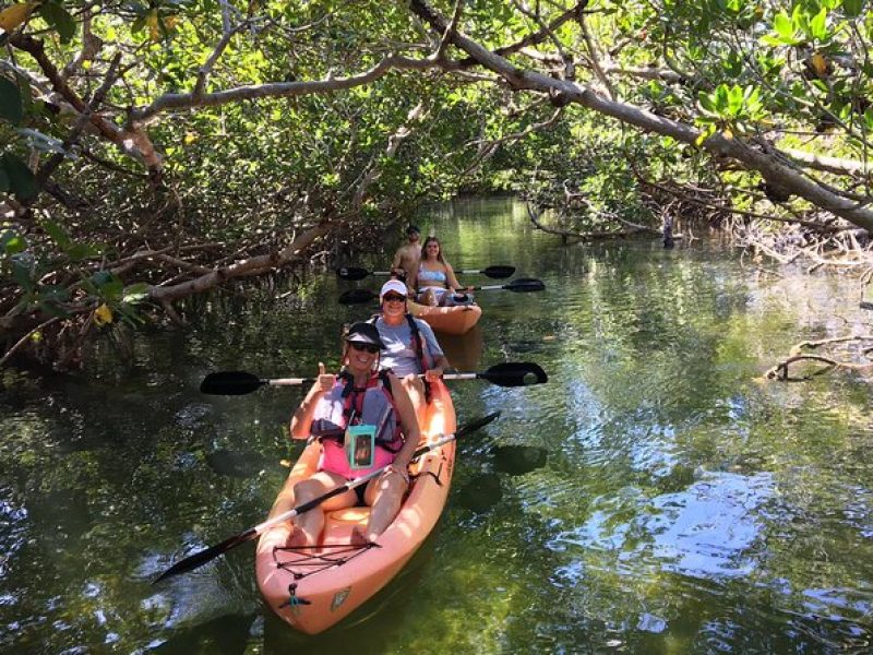 Mangroves and Manatees – Guided Kayak Eco Tour