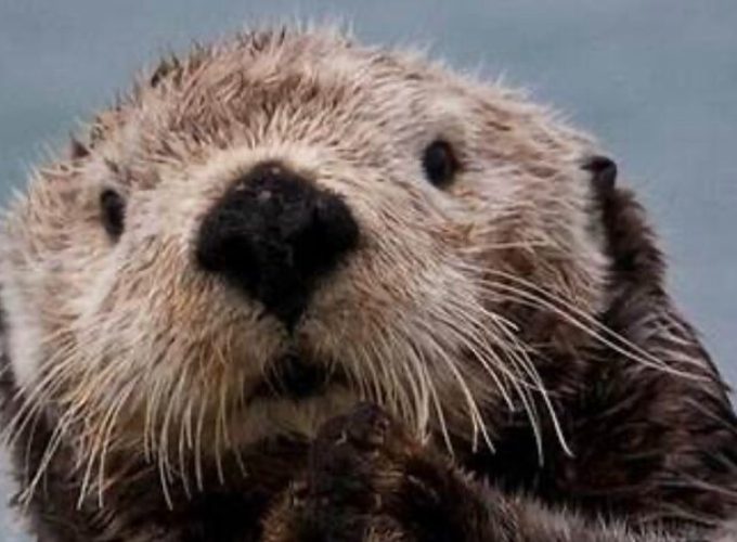 Small Group Boat Tour of Sitka