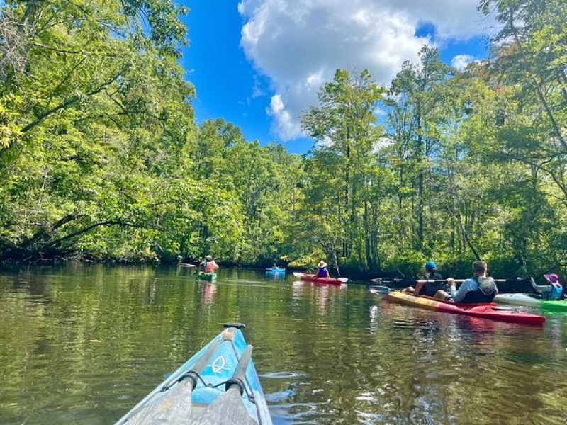 2-Hr Blackwater Kayak Tour just outside Charleston