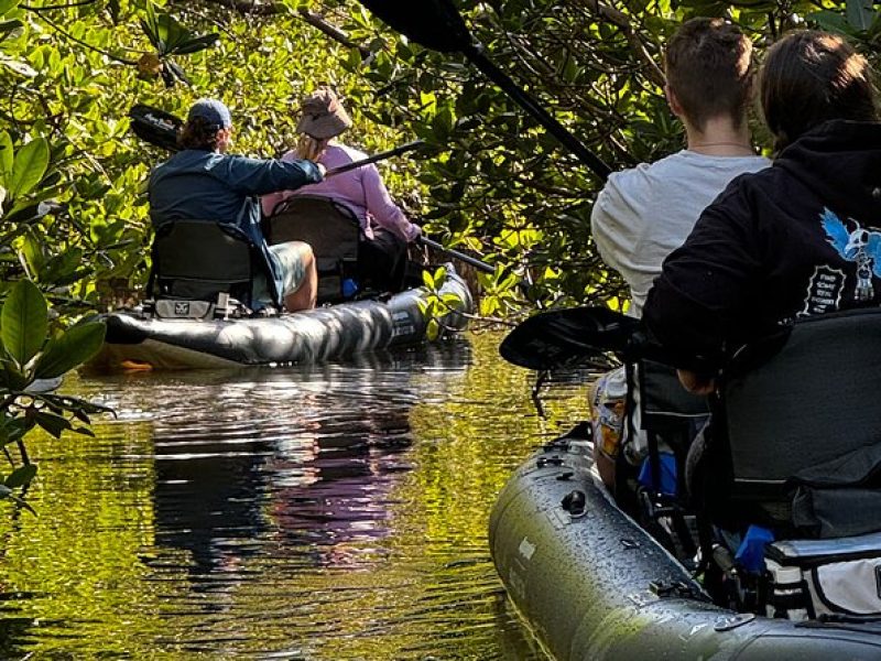 2- Hour Jungle Tour at Prehistoric Preserve Site in Fort Pierce