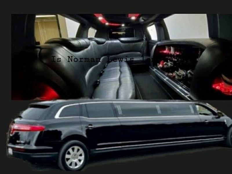 4 or 5 hour Hollywood Private Tour in Stretch Limo