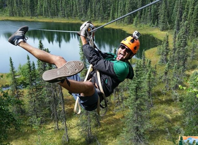 Half-Day Denali Zipline Adventure