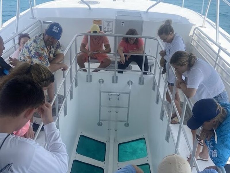 Day Tour Glass Bottom Boat In Islamorada