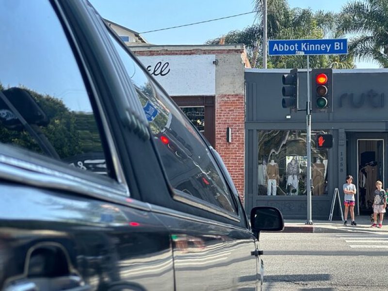 1 Hour Limo Tour of Venice Beach