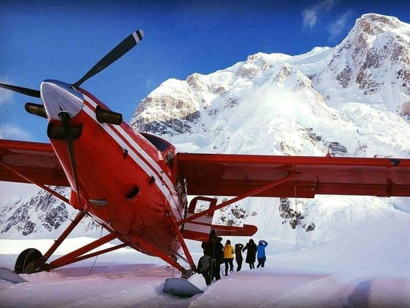 Denali Experience Flightseeing Tour from Talkeetna