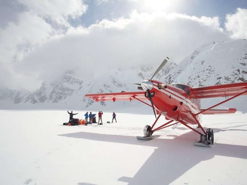 Denali Flyer Flightseeing Tour from Talkeetna