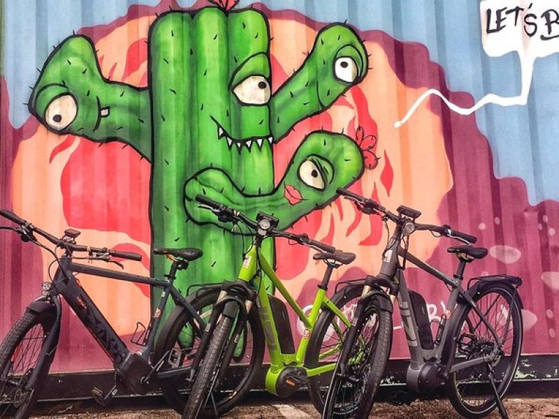 Austin Electric Bike Tour: Let it Ride