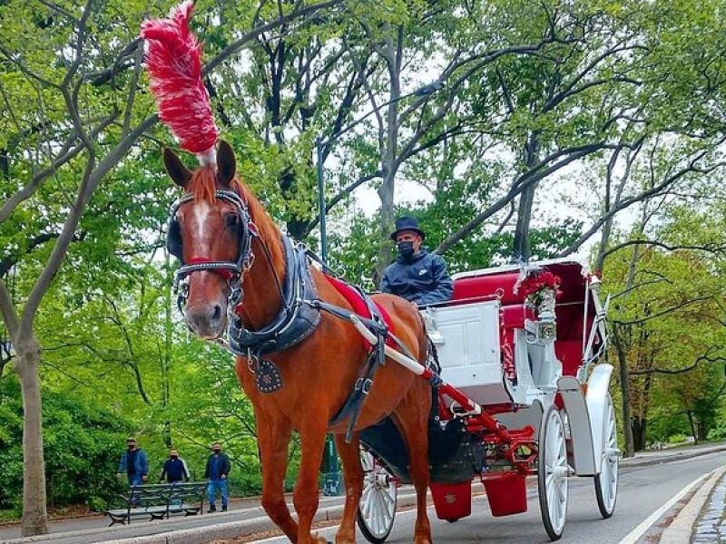 NYC Central Park VIP Horse and Carriage Ride