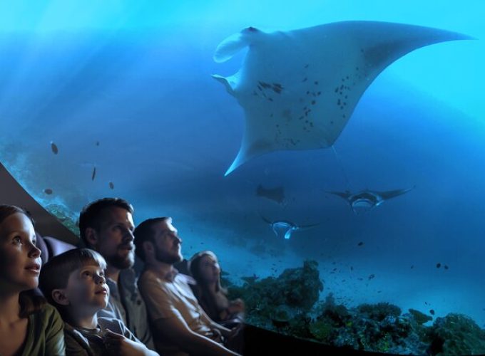 A 360° Immersive Ocean Movie Experience (Catalina Island)