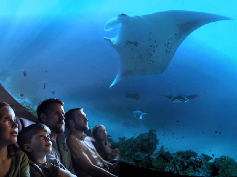 A 360° Immersive Ocean Movie Experience (Catalina Island)