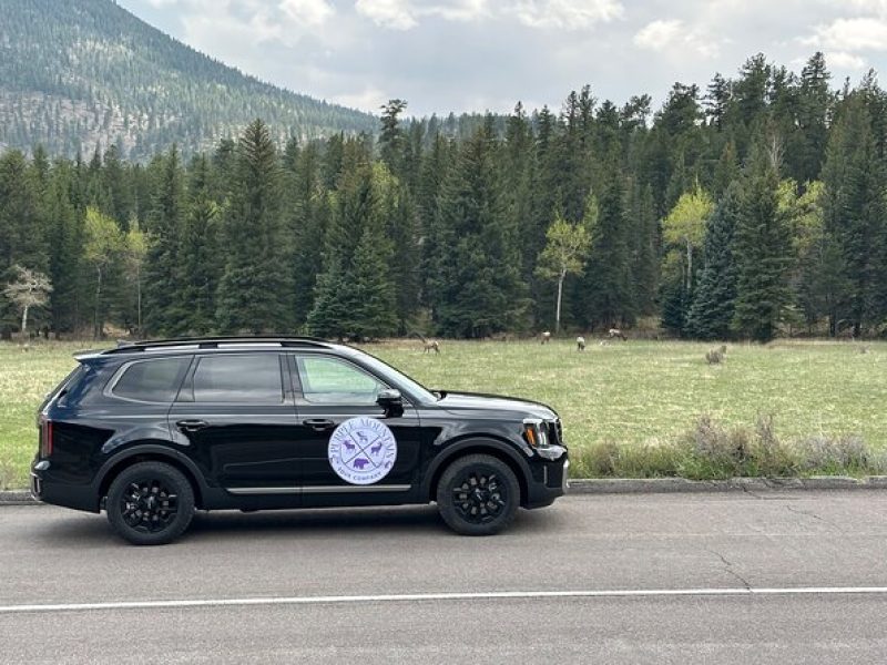 Private Winter Tour in Rocky Mountain National Park