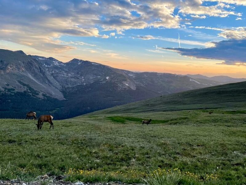 Stargazing and Ghost Stories at Rocky Mountain National Park