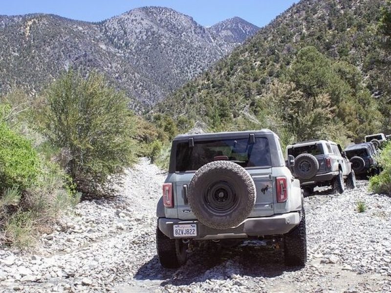 Las Vegas Guided Off-Road Adventure to Callville Wash