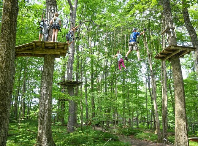 Aerial Adventure Park Admission