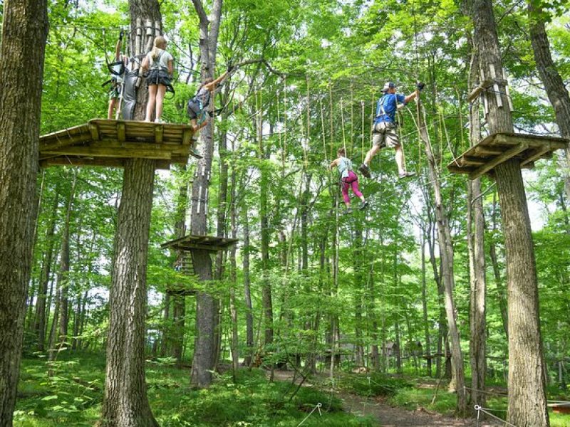 Aerial Adventure Park Admission