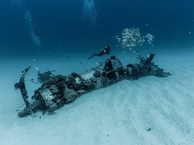 Certified Scuba Diving Experience in Honolulu