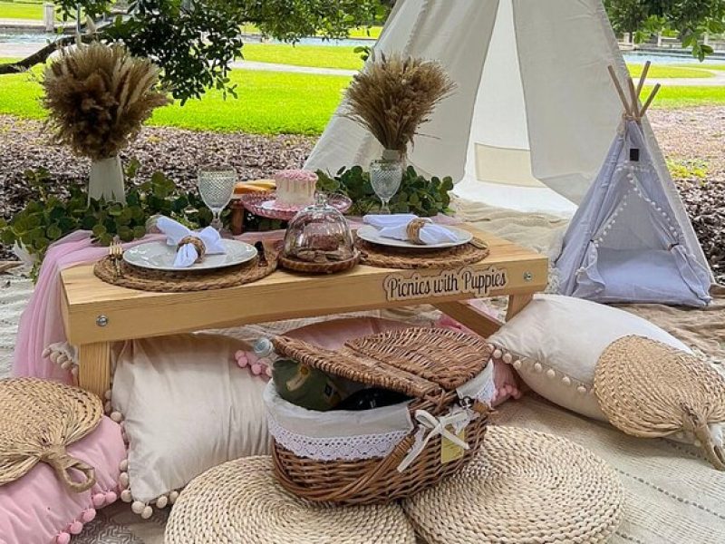 Themed luxury picnics in Charleston, South Carolina