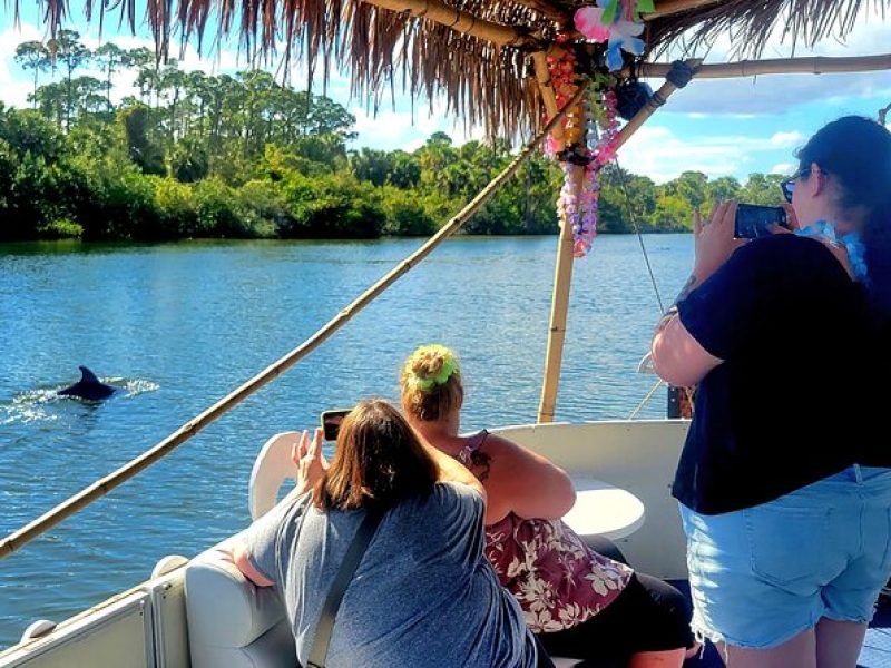 Cocoa Beach 2 Hour Dolphin Sightseeing tour- public