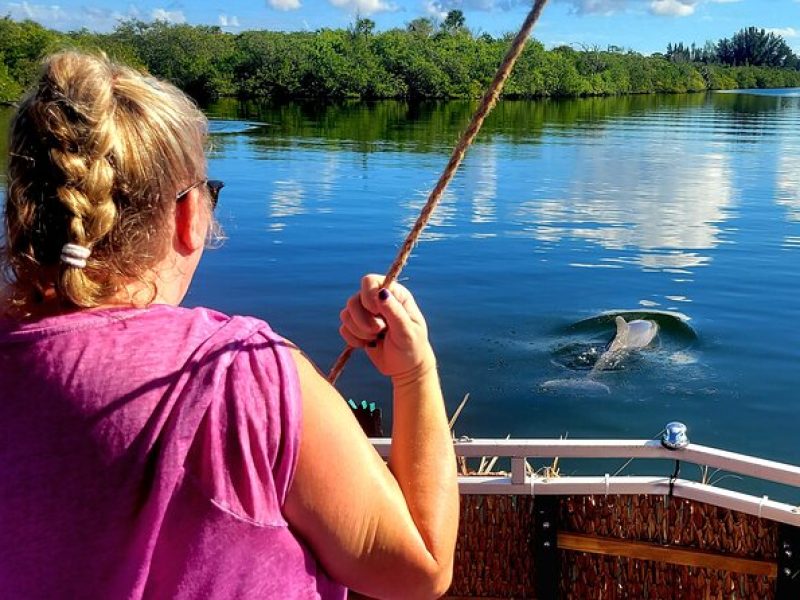 2 hour Dolphin Sightseeing Tour in Melbourne Florida