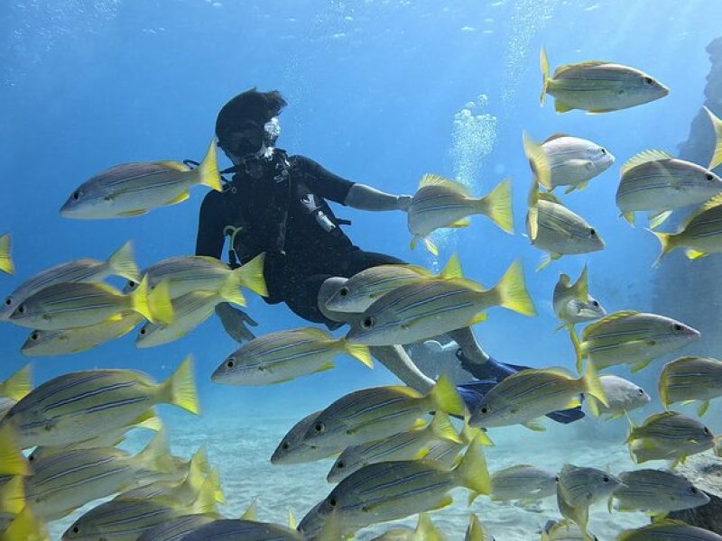 Small Group Discover Scuba Diving from Electric Beach with Photos