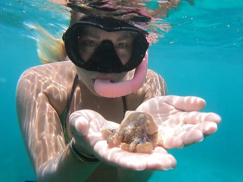 Marine Ecology Snorkel from Electric Beach Oahu with Photos