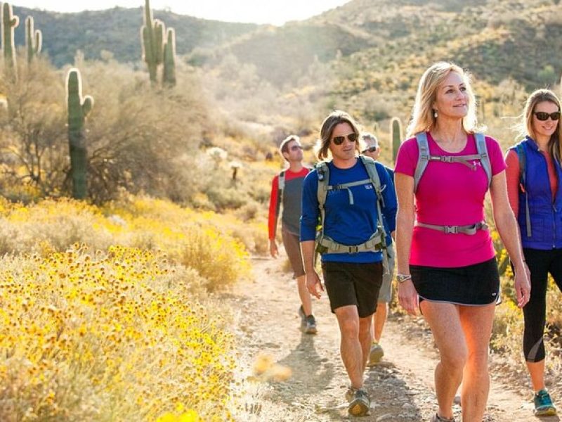 Half-Day Sonoran Desert Hiking Tour