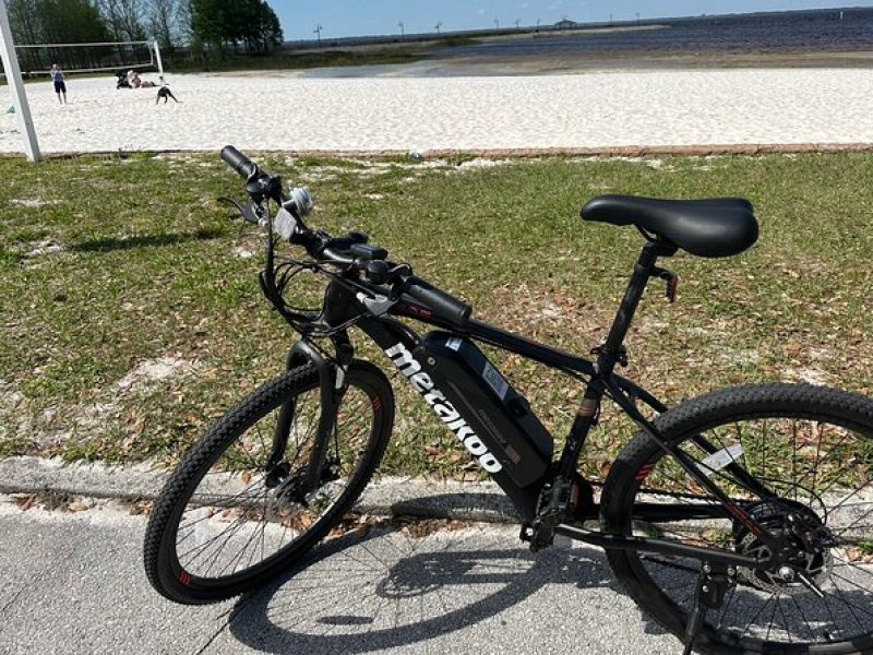 Experience Wild Florida Nature Up Close on Electric Bike (2 hrs.)