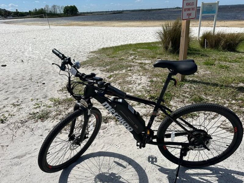 Self Guided Lakefront Tour on Electric Bike in Kissimmee (8 hrs.)