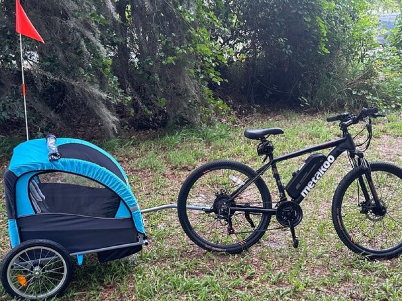 2 hours E-Bike with 2-Child Trailer Kissimmee Lakefront Tour