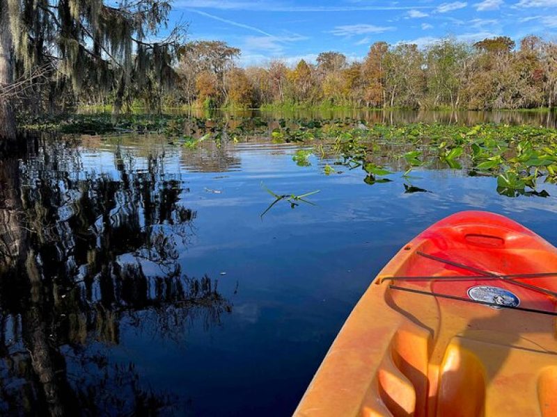 2 Hrs Kayak Rental to St Johns River from Blue Spring State Park