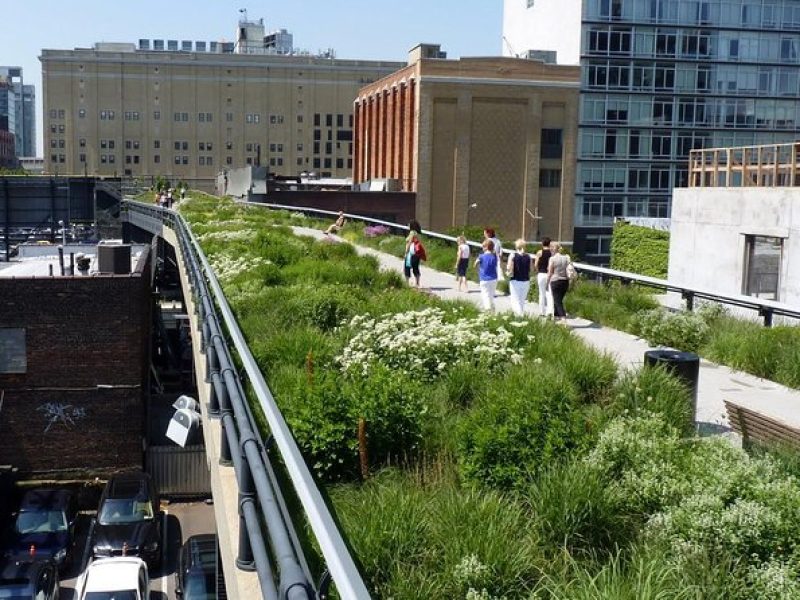 High Line and Hudson Yards Private Walking Tour