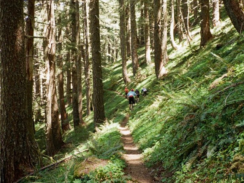 Private Adventure Mountain Biking in Seattle's Eastside