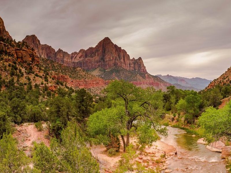 Full-Day Tour to Zion National Park from Las Vegas