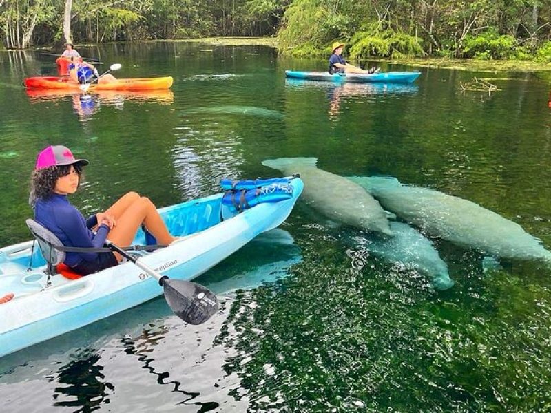 Silver Springs Kayak Rental – The Best Florida Adventure