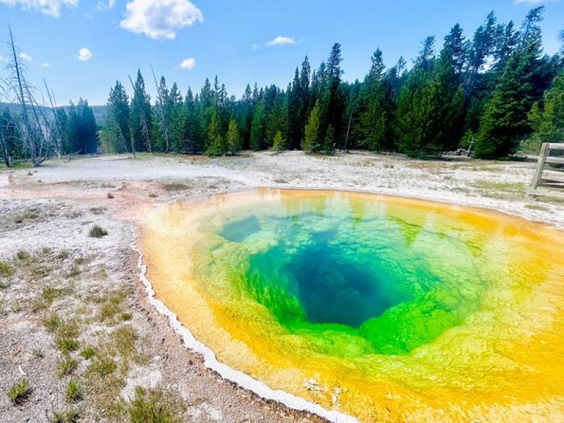 Yellowstone & Grand Teton: 5 Day Small Group Tour + HD Photos