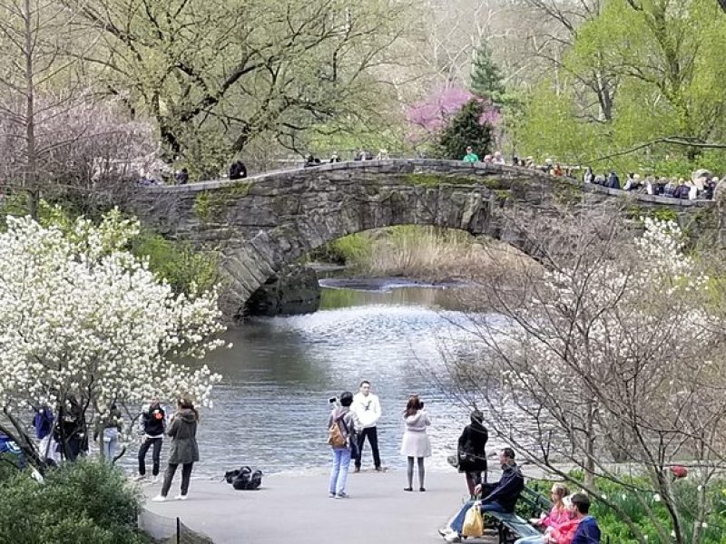 Central Park Secrets And Highlights