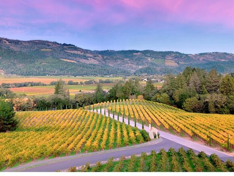 Private Napa Wine Tour Up To 6 Guests