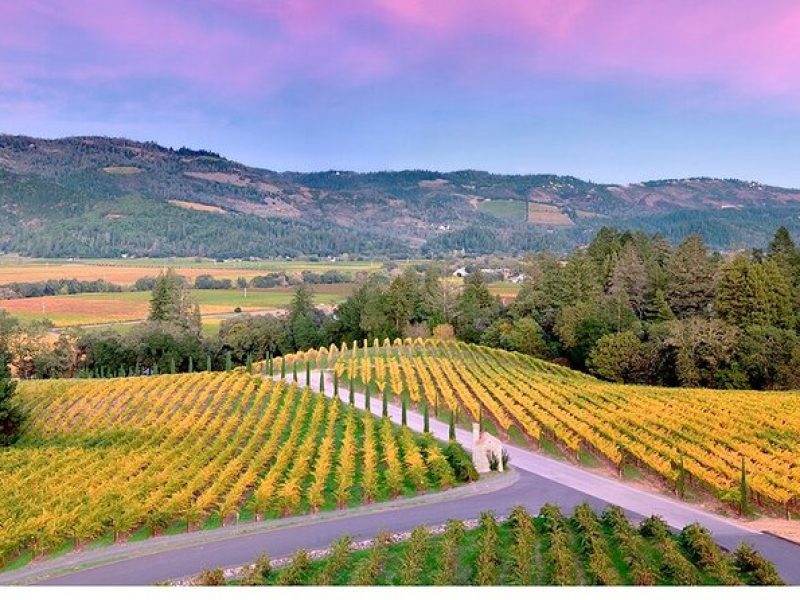 6 Hour Custom Napa or Sonoma Private Wine Tour