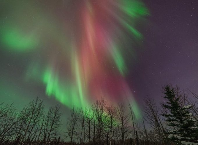 Aurora Quest from Denali