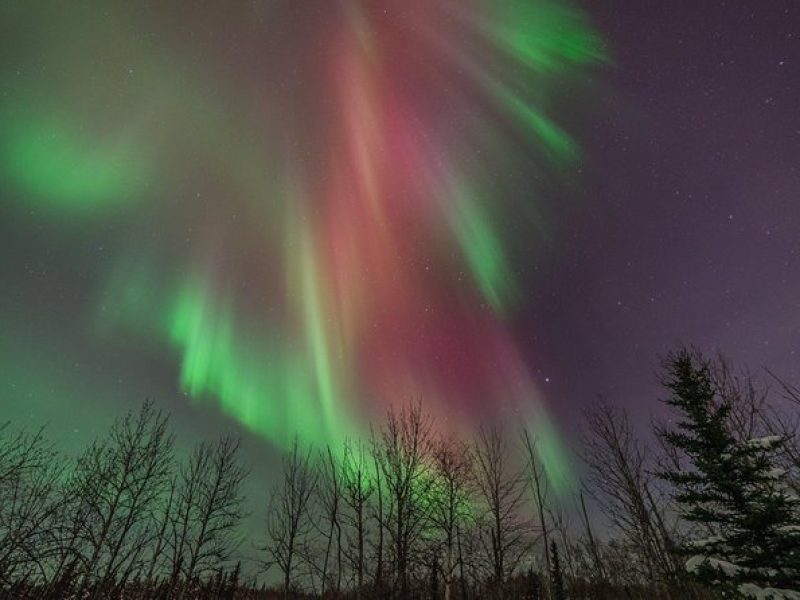 Aurora Quest from Denali