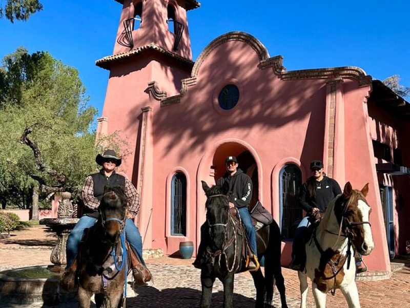 Guided 2 Hour Horseback Ride Catalina State Park Coronado Forest