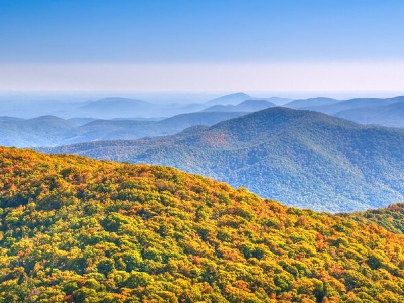 Half-Day Wine Tastings in the North Georgia Mountains