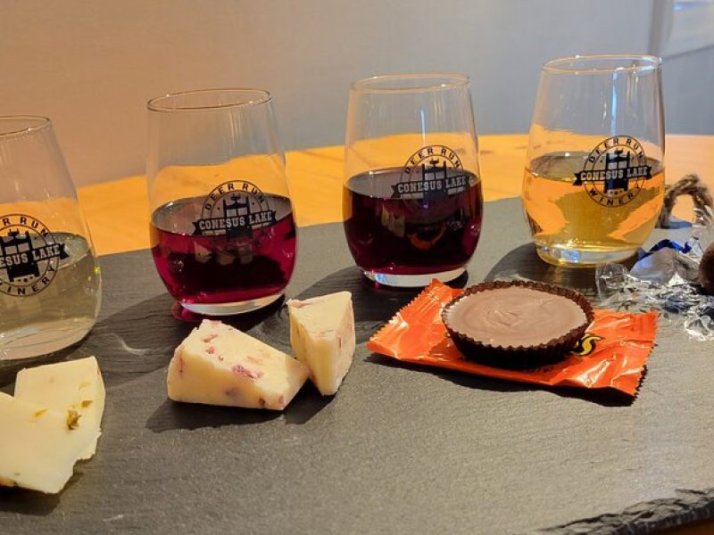 Shared Wine, Chocolate and Cheese Tasting in Conesus Lake