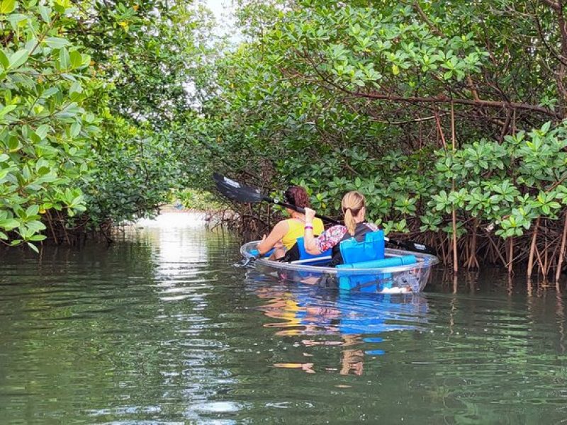 Clear Kayak Eco Tour in Jupiter, Florida