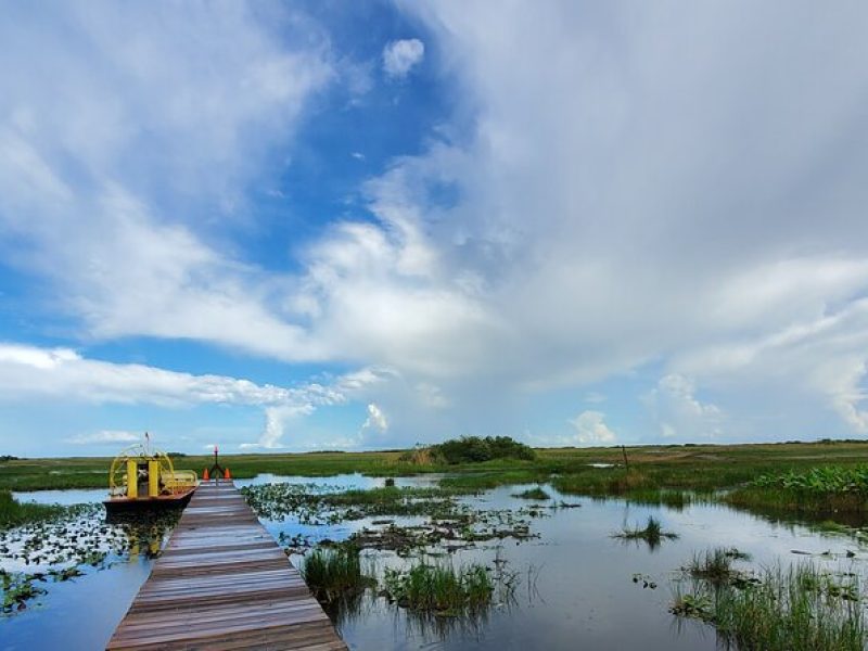 Everglades National Park Biologist Led Hike, 2 boat trips + lunch