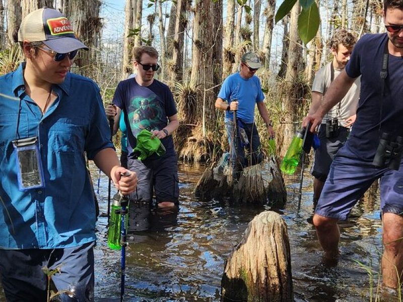 Full Day Everglades: Biologist Led WET walk + 2 boat trips + lunch small group